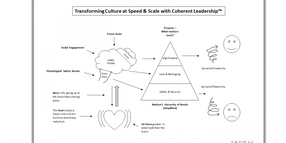 Coherent Leadership™ Program